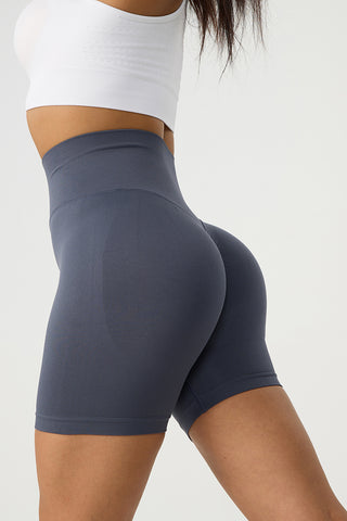 High Waist Wide Waistband Active Shorts